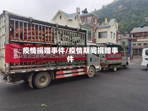 疫情捐赠事件/疫情期间捐赠事件