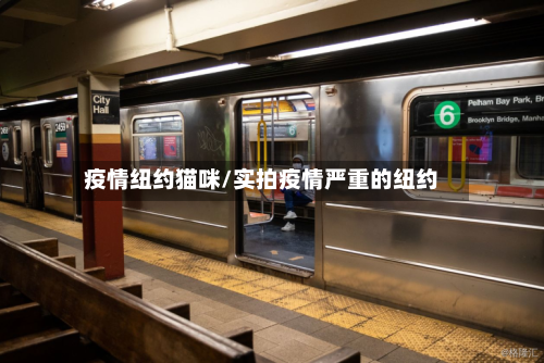 疫情纽约猫咪/实拍疫情严重的纽约-第2张图片