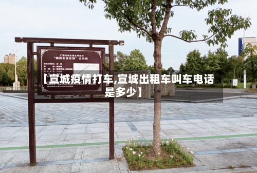 【宣城疫情打车,宣城出租车叫车电话是多少】-第3张图片
