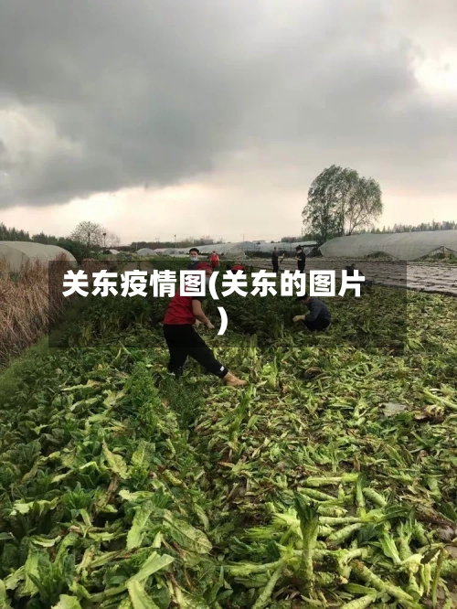 关东疫情图(关东的图片)
