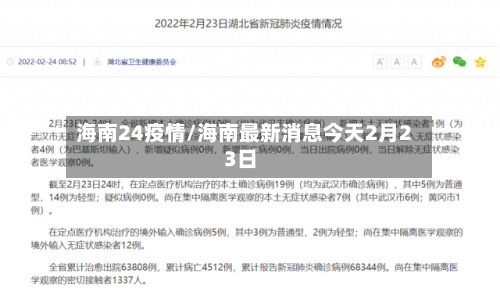 海南24疫情/海南最新消息今天2月23日-第2张图片
