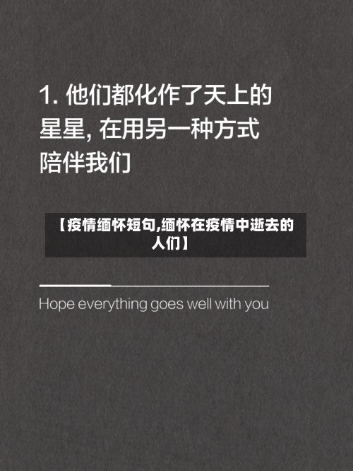 【疫情缅怀短句,缅怀在疫情中逝去的人们】