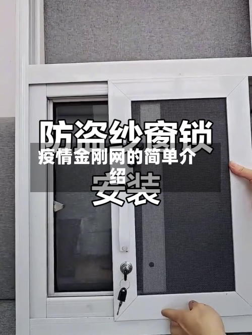 疫情金刚网的简单介绍-第2张图片