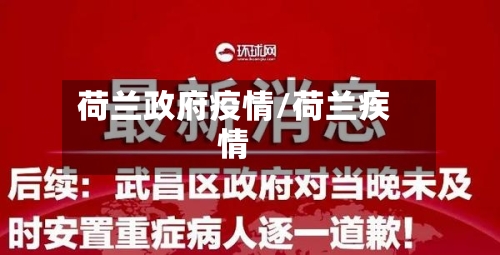 荷兰政府疫情/荷兰疾情-第2张图片