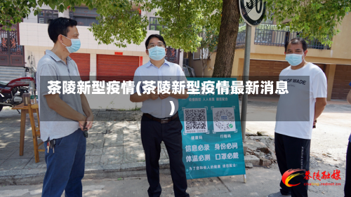 茶陵新型疫情(茶陵新型疫情最新消息)