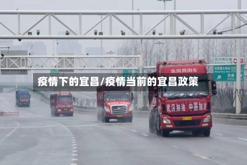 疫情下的宜昌/疫情当前的宜昌政策