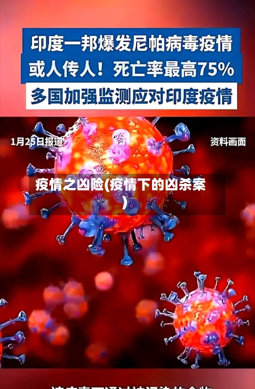 疫情之凶险(疫情下的凶杀案)