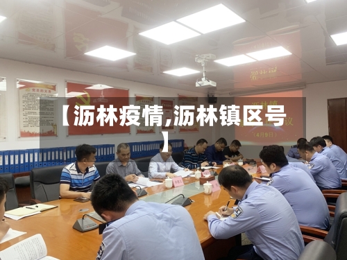 【沥林疫情,沥林镇区号】