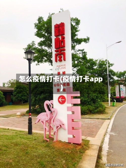 怎么疫情打卡(疫情打卡app)-第2张图片