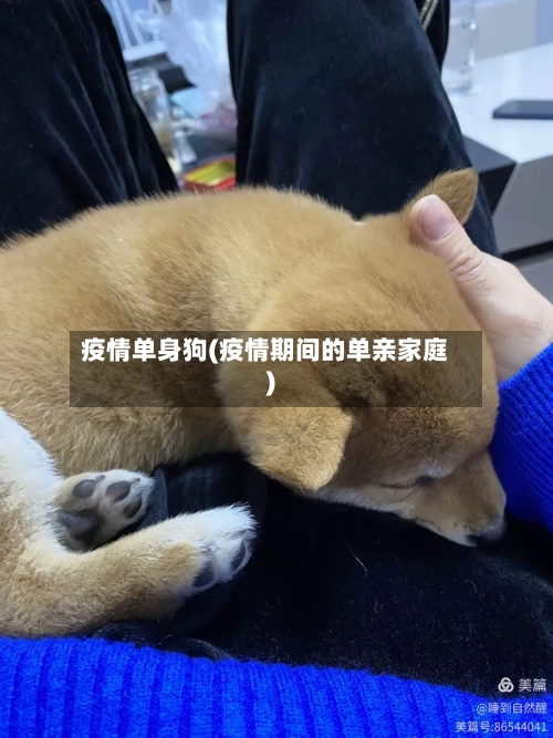 疫情单身狗(疫情期间的单亲家庭)