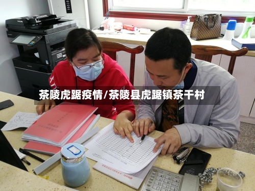 茶陵虎踞疫情/茶陵县虎踞镇茶干村