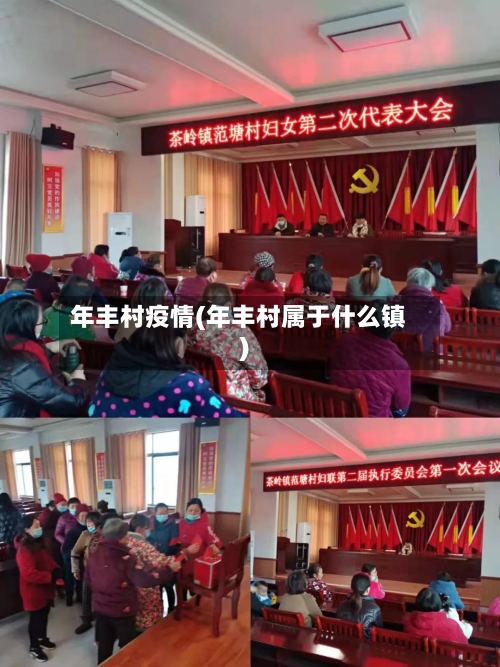 年丰村疫情(年丰村属于什么镇)