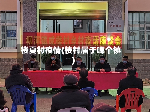 楼夏村疫情(楼村属于哪个镇)