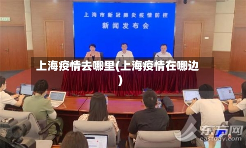 上海疫情去哪里(上海疫情在哪边)