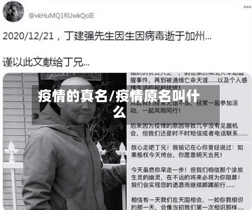 疫情的真名/疫情原名叫什么