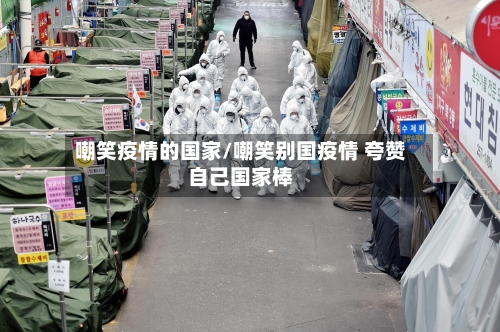 嘲笑疫情的国家/嘲笑别国疫情 夸赞自己国家棒