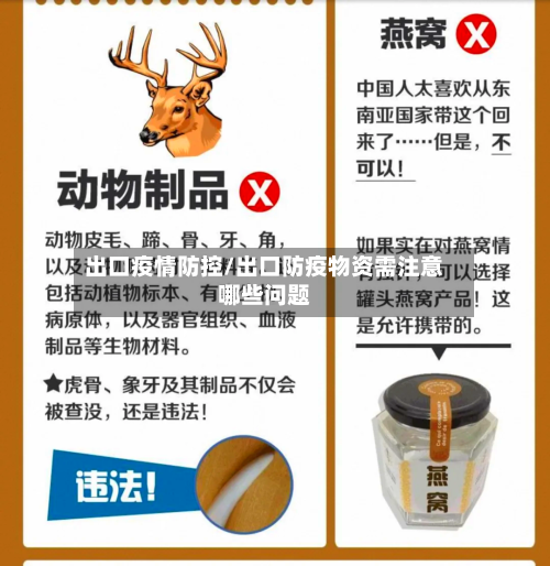 出口疫情防控/出口防疫物资需注意哪些问题