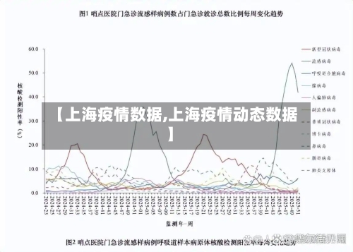 【上海疫情数据,上海疫情动态数据】