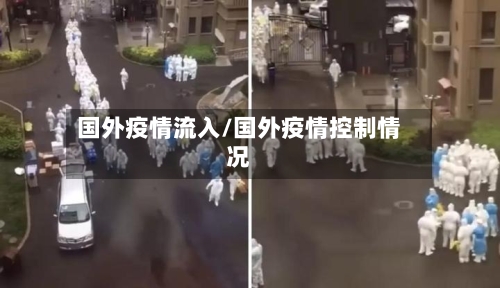 国外疫情流入/国外疫情控制情况
