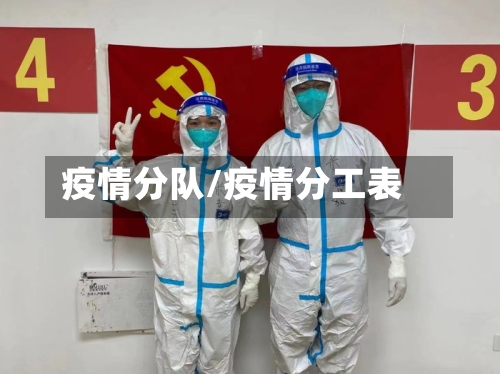 疫情分队/疫情分工表