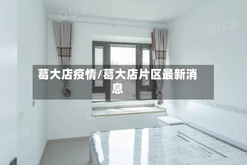 葛大店疫情/葛大店片区最新消息-第3张图片