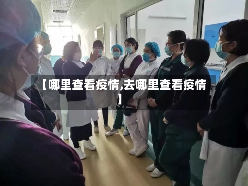 【哪里查看疫情,去哪里查看疫情】-第3张图片