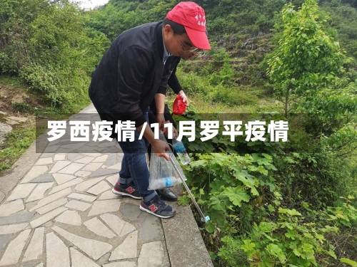 罗西疫情/11月罗平疫情-第2张图片
