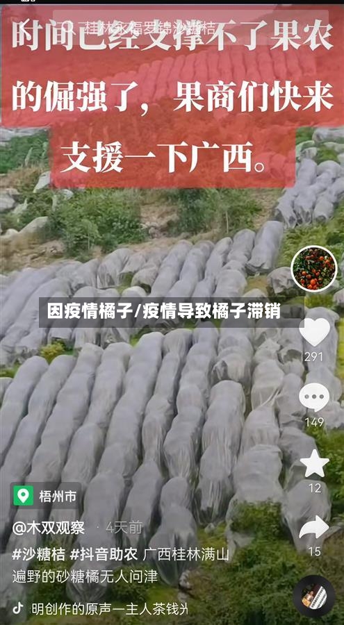 因疫情橘子/疫情导致橘子滞销-第3张图片
