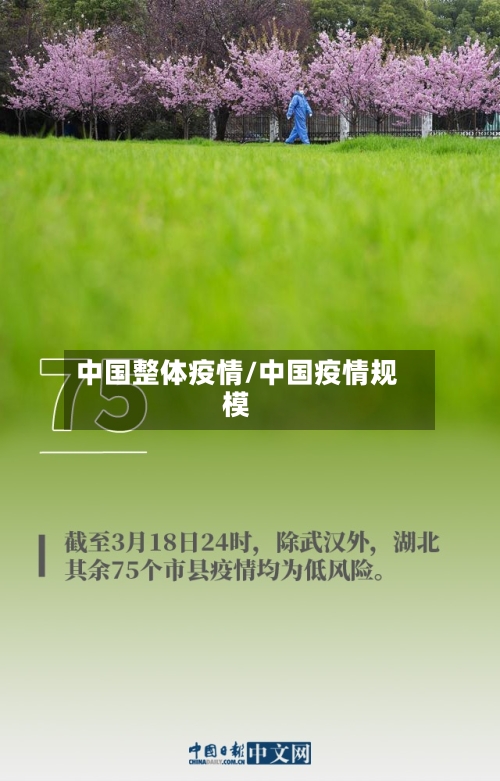 中国整体疫情/中国疫情规模