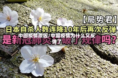 中回疫情原因/中国疫情为什么又反弹了-第3张图片