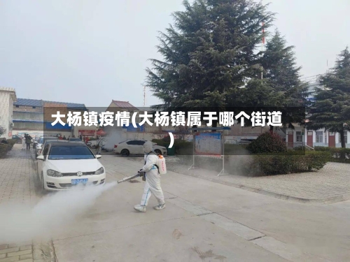 大杨镇疫情(大杨镇属于哪个街道)-第3张图片