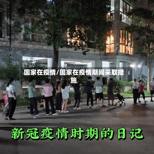 国家在疫情/国家在疫情期间采取措施