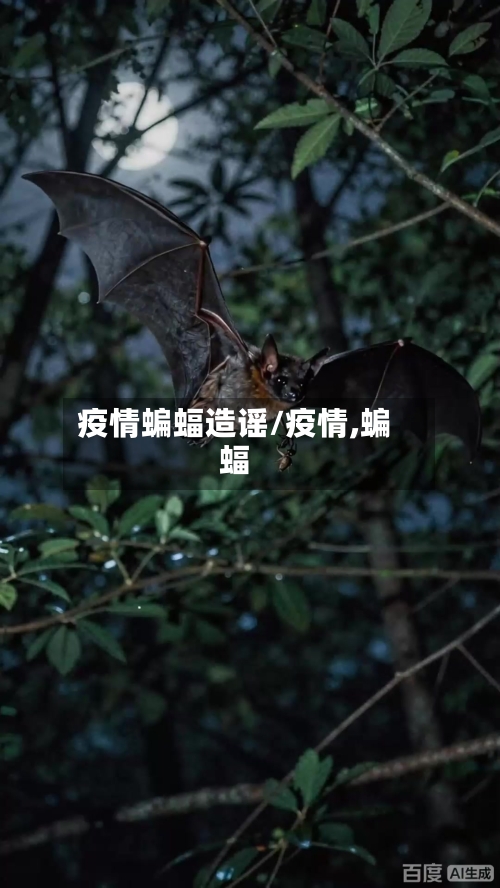 疫情蝙蝠造谣/疫情,蝙蝠