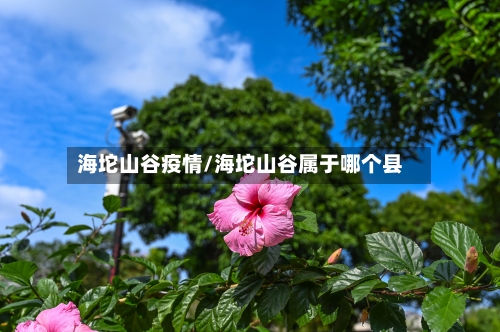 海坨山谷疫情/海坨山谷属于哪个县-第2张图片