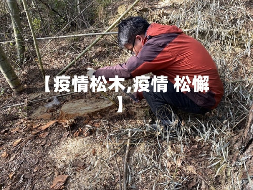 【疫情松木,疫情 松懈】