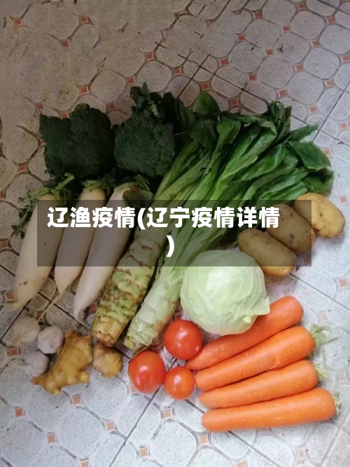 辽渔疫情(辽宁疫情详情)