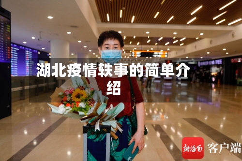 湖北疫情轶事的简单介绍-第3张图片