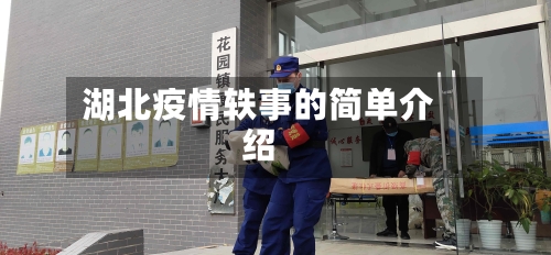湖北疫情轶事的简单介绍-第2张图片