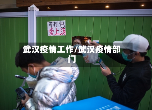 武汉疫情工作/武汉疫情部门