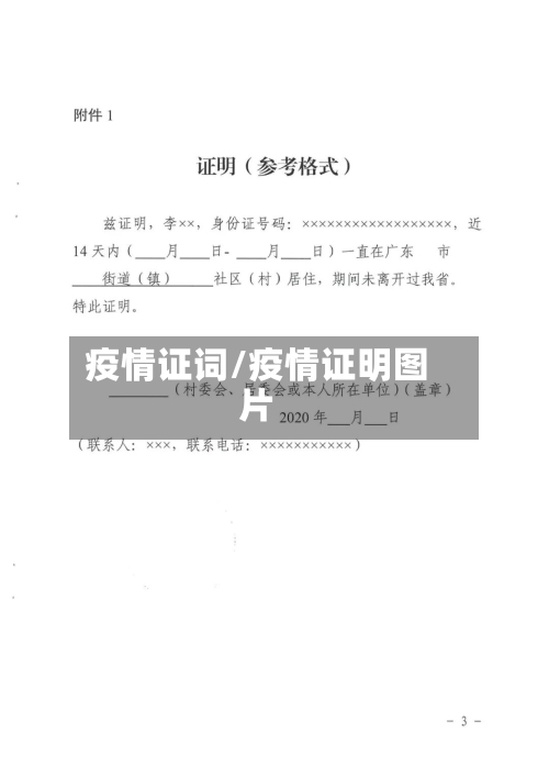 疫情证词/疫情证明图片