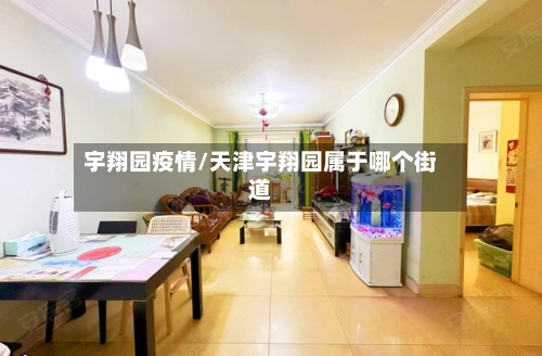 宇翔园疫情/天津宇翔园属于哪个街道