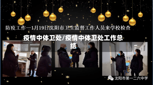 疫情中体卫处/疫情中体卫处工作总结