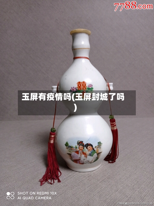 玉屏有疫情吗(玉屏封城了吗)