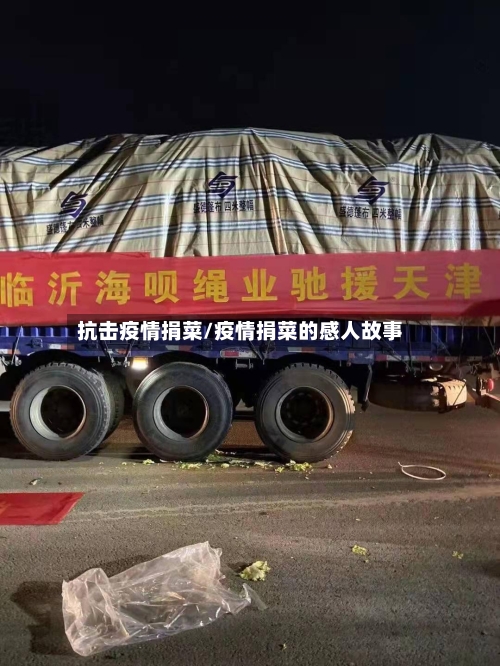 抗击疫情捐菜/疫情捐菜的感人故事