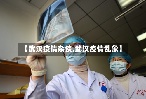 【武汉疫情杂谈,武汉疫情乱象】-第3张图片