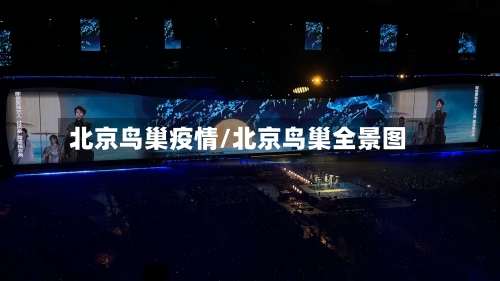 北京鸟巢疫情/北京鸟巢全景图-第3张图片