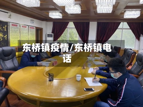 东桥镇疫情/东桥镇电话