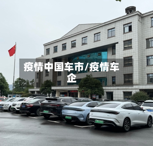 疫情中国车市/疫情车企