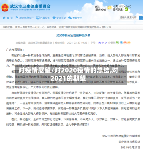 对疫情展望/对2020疫情的总结,对2021的期望-第2张图片