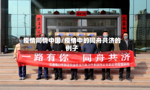 疫情同情中国/疫情中的同舟共济的例子